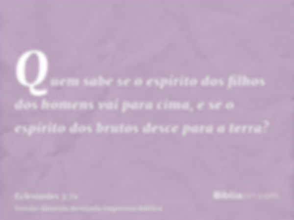 Quem sabe se o espírito dos filhos dos homens vai para cima, e se o espírito dos brutos desce para a terra?