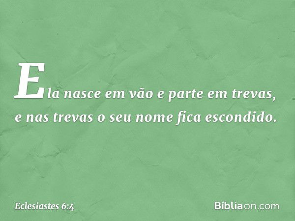 Ela nasce em vão e parte em trevas, e nas trevas o seu nome fica escondido. -- Eclesiastes 6:4