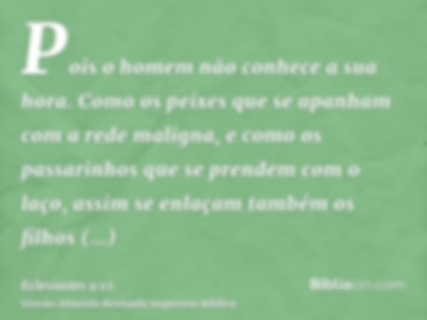 Pois o homem não conhece a sua hora. Como os peixes que se apanham com a rede maligna, e como os passarinhos que se prendem com o laço, assim se enlaçam também 