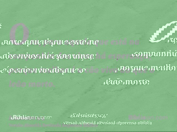 Ora, para aquele que está na companhia dos vivos há esperança; porque melhor é o cão vivo do que o leão morto.