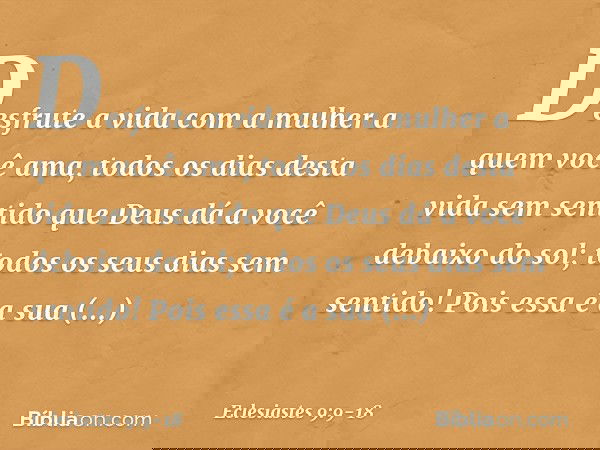 Desfrute a vida com a mulher a quem você ama, todos os dias desta vida sem sentido que Deus dá a você debaixo do sol; todos os seus dias sem sentido! Pois essa