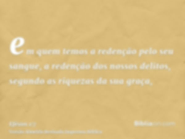 em quem temos a redenção pelo seu sangue, a redenção dos nossos delitos, segundo as riquezas da sua graça,