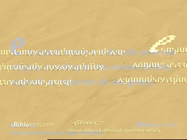 em quem temos a redenção pelo seu sangue, a redenção dos nossos delitos, segundo as riquezas da sua graça,