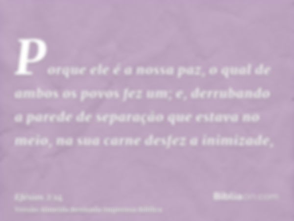 Porque ele é a nossa paz, o qual de ambos os povos fez um; e, derrubando a parede de separação que estava no meio, na sua carne desfez a inimizade,