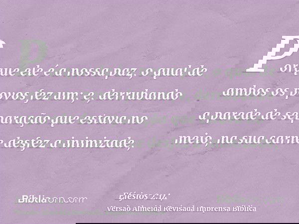 Porque ele é a nossa paz, o qual de ambos os povos fez um; e, derrubando a parede de separação que estava no meio, na sua carne desfez a inimizade,