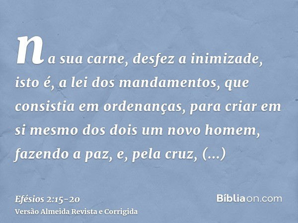 na sua carne, desfez a inimizade, isto é, a lei dos mandamentos, que consistia em ordenanças, para criar em si mesmo dos dois um novo homem, fazendo a paz,e, pe