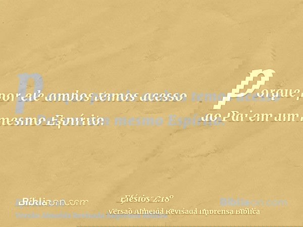 porque por ele ambos temos acesso ao Pai em um mesmo Espírito.