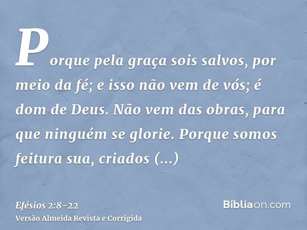 Porque pela graça sois salvos, por meio da fé; e isso não vem de vós; é dom de Deus.Não vem das obras, para que ninguém se glorie.Porque somos feitura sua, cria