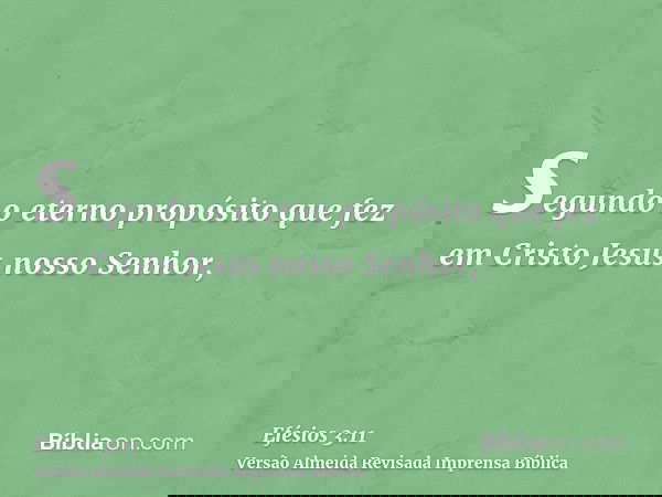 segundo o eterno propósito que fez em Cristo Jesus nosso Senhor,