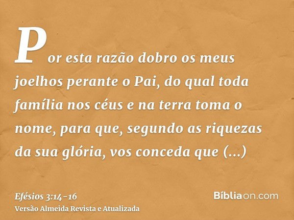 Por esta razão dobro os meus joelhos perante o Pai,do qual toda família nos céus e na terra toma o nome,para que, segundo as riquezas da sua glória, vos conceda