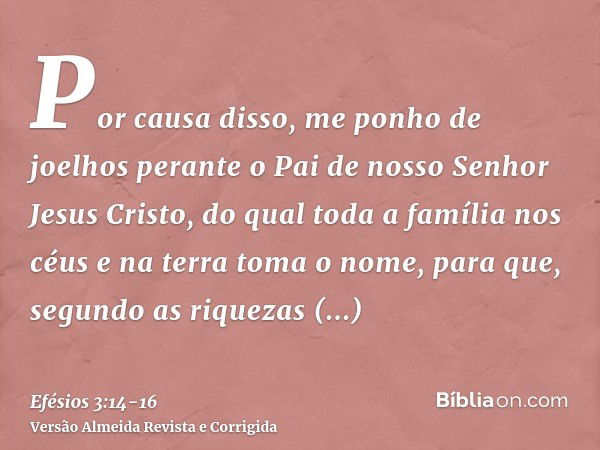 Por causa disso, me ponho de joelhos perante o Pai de nosso Senhor Jesus Cristo,do qual toda a família nos céus e na terra toma o nome,para que, segundo as riqu