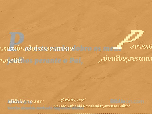 Por esta razão dobro os meus joelhos perante o Pai,