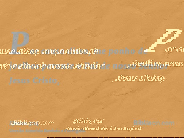 Por causa disso, me ponho de joelhos perante o Pai de nosso Senhor Jesus Cristo,