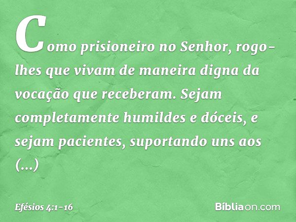 Como prisioneiro no Senhor, rogo-lhes que vivam de maneira digna da vocação que receberam. Sejam completamente humildes e dóceis, e sejam pacientes, suportando 