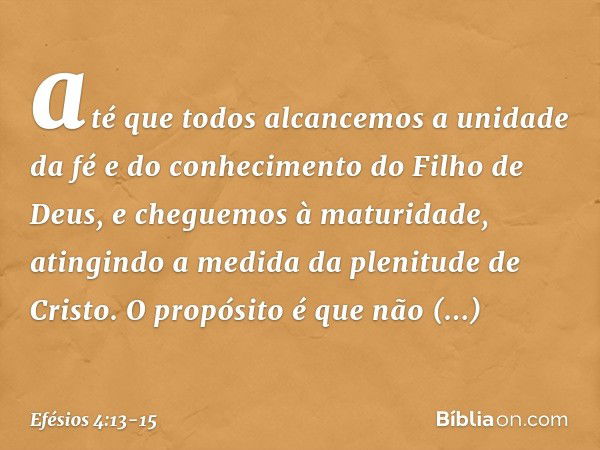 até que todos alcancemos a unidade da fé e do conhecimento do Filho de Deus, e cheguemos à maturidade, atingindo a medida da plenitude de Cristo. O propósito é 