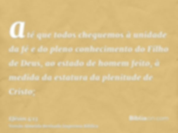 até que todos cheguemos à unidade da fé e do pleno conhecimento do Filho de Deus, ao estado de homem feito, à medida da estatura da plenitude de Cristo;