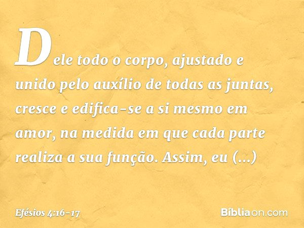 Dele todo o corpo, ajustado e unido pelo auxílio de todas as juntas, cresce e edifica-se a si mesmo em amor, na medida em que cada parte realiza a sua função. A