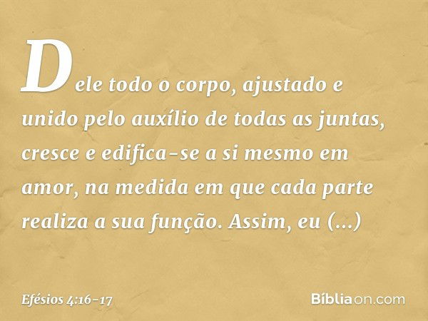 Dele todo o corpo, ajustado e unido pelo auxílio de todas as juntas, cresce e edifica-se a si mesmo em amor, na medida em que cada parte realiza a sua função. A