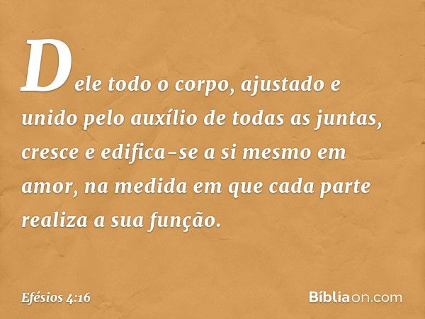 Dele todo o corpo, ajustado e unido pelo auxílio de todas as juntas, cresce e edifica-se a si mesmo em amor, na medida em que cada parte realiza a sua função. -