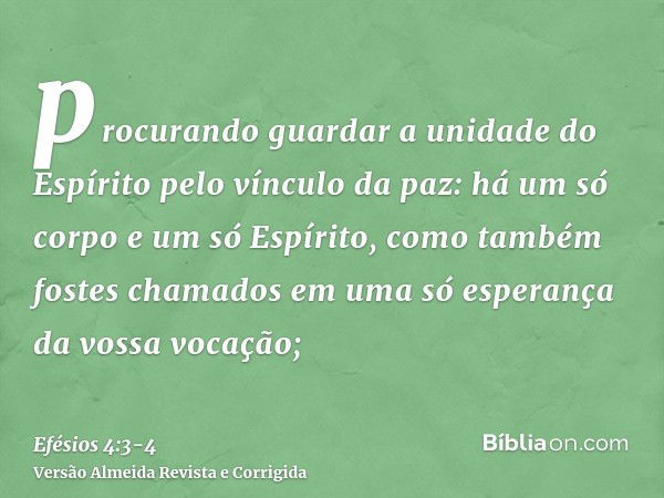 procurando guardar a unidade do Espírito pelo vínculo da paz:há um só corpo e um só Espírito, como também fostes chamados em uma só esperança da vossa vocação;