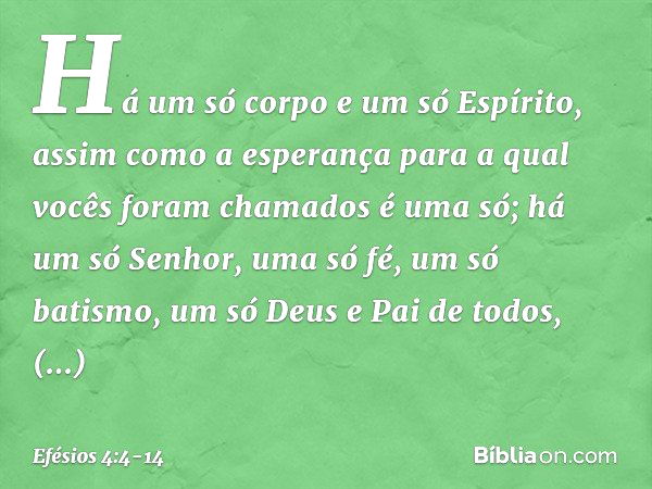 Há um só corpo e um só Espírito, assim como a esperança para a qual vocês foram chamados é uma só; há um só Senhor, uma só fé, um só batismo, um só Deus e Pai d