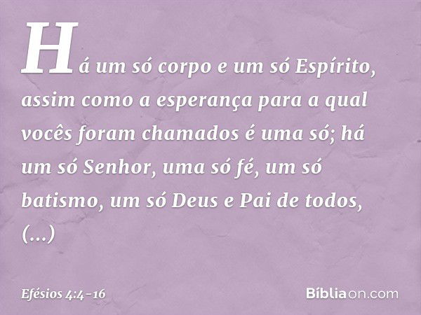 Há um só corpo e um só Espírito, assim como a esperança para a qual vocês foram chamados é uma só; há um só Senhor, uma só fé, um só batismo, um só Deus e Pai d