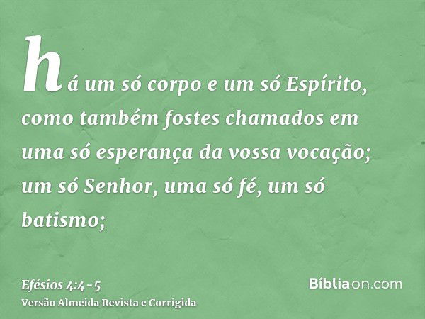 há um só corpo e um só Espírito, como também fostes chamados em uma só esperança da vossa vocação;um só Senhor, uma só fé, um só batismo;