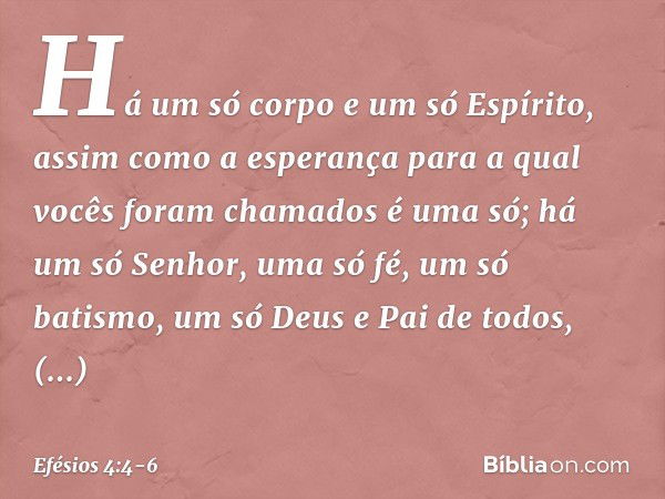 Há um só corpo e um só Espírito, assim como a esperança para a qual vocês foram chamados é uma só; há um só Senhor, uma só fé, um só batismo, um só Deus e Pai d