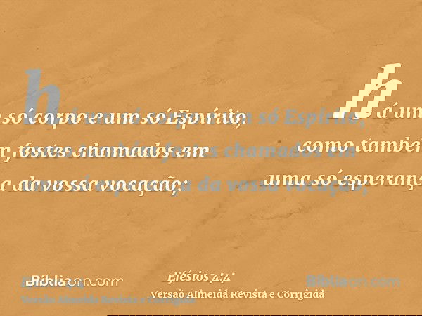 há um só corpo e um só Espírito, como também fostes chamados em uma só esperança da vossa vocação;