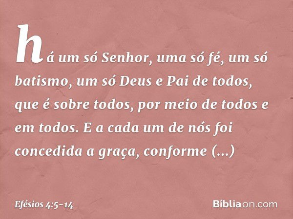 há um só Senhor, uma só fé, um só batismo, um só Deus e Pai de todos, que é sobre todos, por meio de todos e em todos. E a cada um de nós foi concedida a graça,