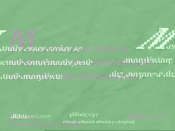 Mas todas essas coisas se manifestam, sendo condenadas pela luz, porque a luz tudo manifesta.