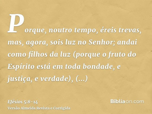 Porque, noutro tempo, éreis trevas, mas, agora, sois luz no Senhor; andai como filhos da luz(porque o fruto do Espírito está em toda bondade, e justiça, e verda