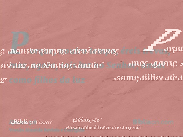 Porque, noutro tempo, éreis trevas, mas, agora, sois luz no Senhor; andai como filhos da luz