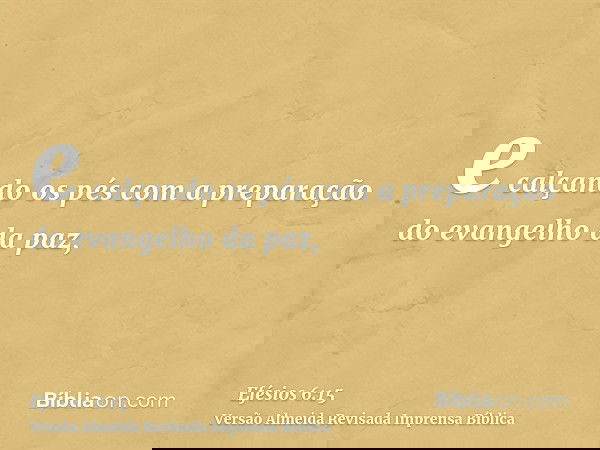 e calçando os pés com a preparação do evangelho da paz,