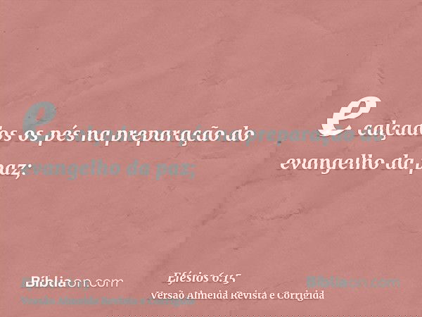 e calçados os pés na preparação do evangelho da paz;