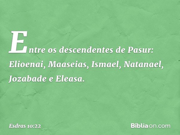 Entre os descendentes de Pasur:
Elioenai, Maaseias, Ismael,
Natanael, Jozabade e Eleasa. -- Esdras 10:22