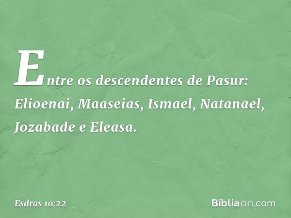 Entre os descendentes de Pasur:
Elioenai, Maaseias, Ismael,
Natanael, Jozabade e Eleasa. -- Esdras 10:22