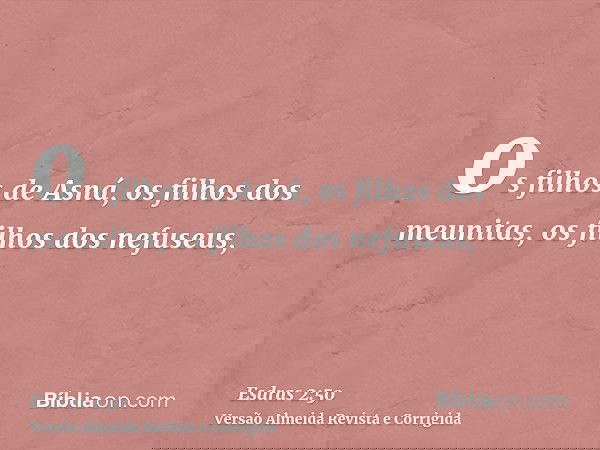 os filhos de Asná, os filhos dos meunitas, os filhos dos nefuseus,