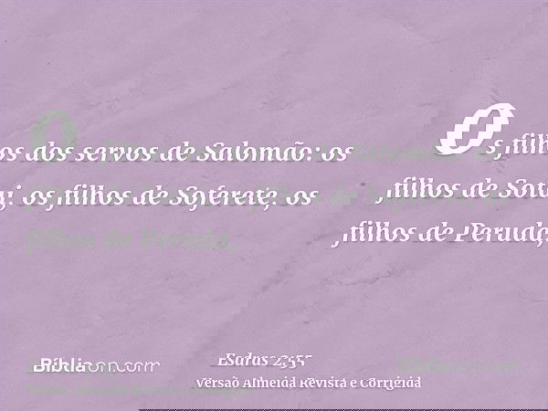 os filhos dos servos de Salomão: os filhos de Sotai, os filhos de Soferete, os filhos de Peruda,