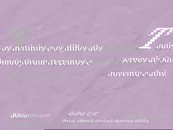 Todos os netinins e os filhos dos servos de Salomão foram trezentos e noventa e dois.