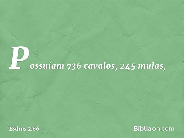 Possuíam 736 cavalos, 245 mulas, -- Esdras 2:66