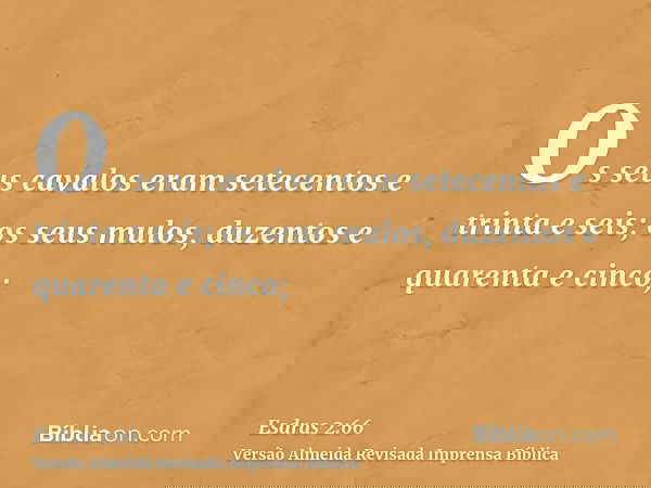 Os seus cavalos eram setecentos e trinta e seis; os seus mulos, duzentos e quarenta e cinco;