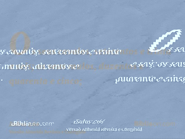 Os seus cavalos, setecentos e trinta e seis; os seus mulos, duzentos e quarenta e cinco;