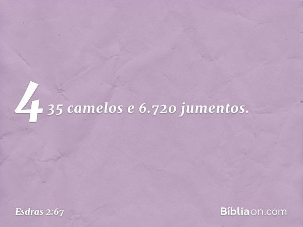 435 camelos e 6.720 jumentos. -- Esdras 2:67