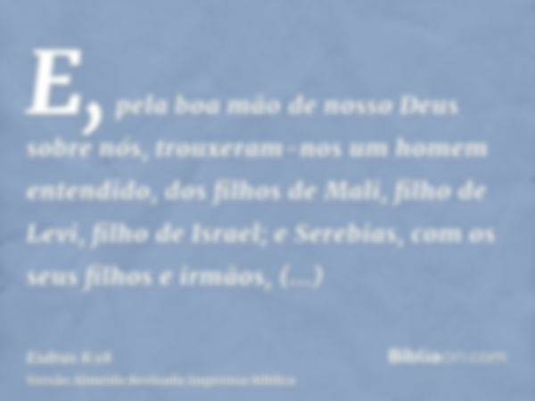 E, pela boa mão de nosso Deus sobre nós, trouxeram-nos um homem entendido, dos filhos de Mali, filho de Levi, filho de Israel; e Serebias, com os seus filhos e 