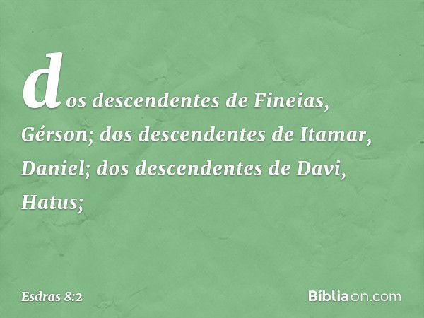 dos descendentes de Fineias, Gérson;
dos descendentes de Itamar, Daniel;
dos descendentes de Davi, Hatus; -- Esdras 8:2