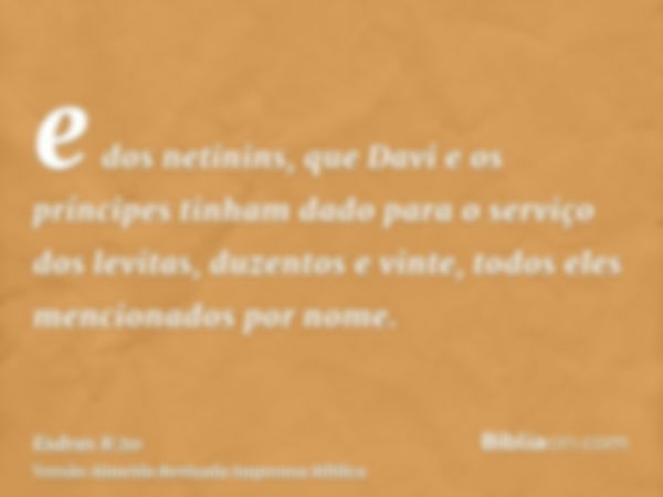 e dos netinins, que Davi e os príncipes tinham dado para o serviço dos levitas, duzentos e vinte, todos eles mencionados por nome.