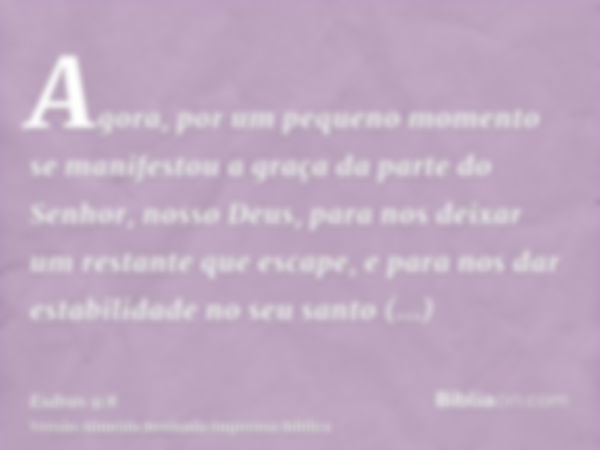 Agora, por um pequeno momento se manifestou a graça da parte do Senhor, nosso Deus, para nos deixar um restante que escape, e para nos dar estabilidade no seu s