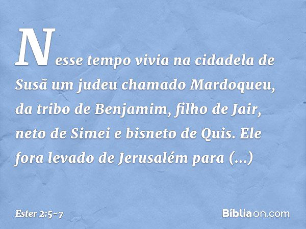 Quem Foi Benjamim? A História de Benjamim na Bíblia