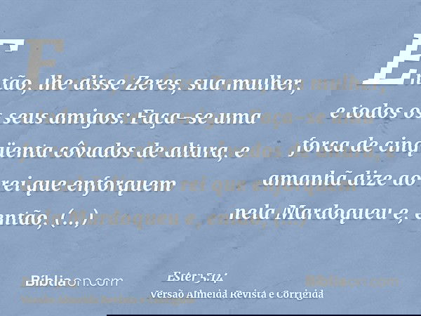 Então, lhe disse Zeres, sua mulher, e todos os seus amigos: Faça-se uma forca de cinqüenta côvados de altura, e amanhã dize ao rei que enforquem nela Mardoqueu